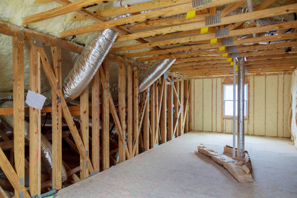 Best Insulation Removal  in Clemson University, SC