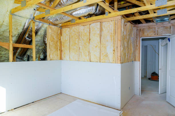 Best Insulation Repair Services  in Clemson University, SC