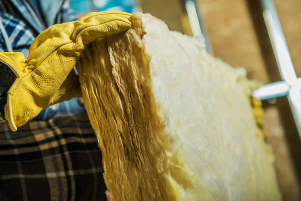 Best Affordable Insulation Services  in Clemson University, SC