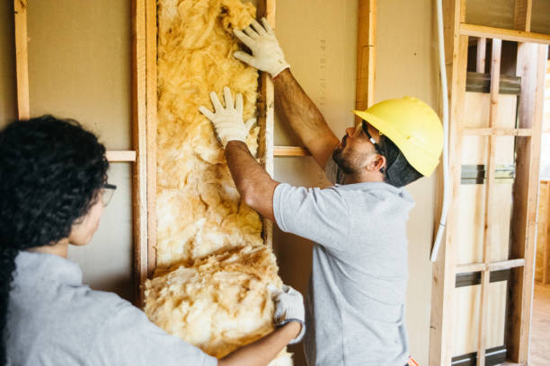 Insulation for Commercial Buildings in Clemson University, SC