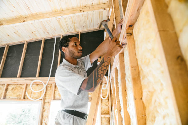 Best Home Insulation Services  in Clemson University, SC