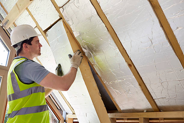 Best Insulation for New Construction  in Clemson University, SC